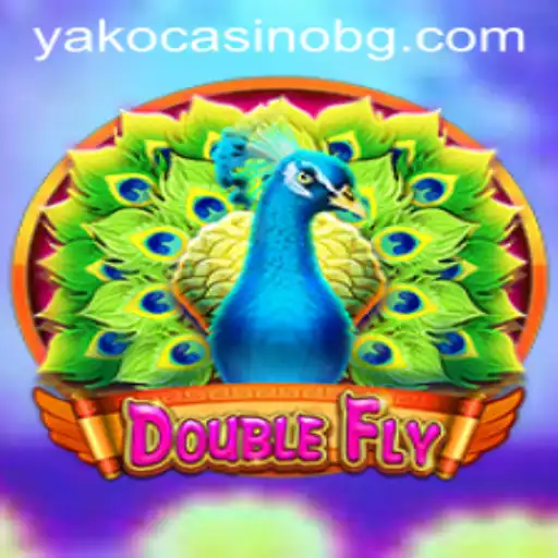 DoubleFly: A Thrilling Adventure into the Sky